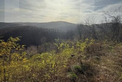 Teren extravilan de 8271 mp, în Cerbăl