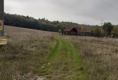 Teren Construcții intravilan de 11300 mp, în Corunca - 4