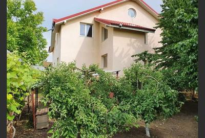 Casă cu 4 camere cu Teren 1000 Mp în Horia - 3