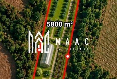 Spațiu comercial, în Cașolț