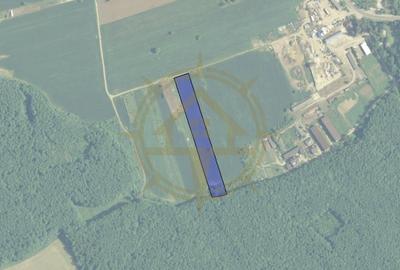 Teren Construcții intravilan de 9247 mp, în Ghermănești - 2