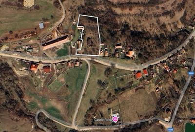 Casă individuală cu 4 camere cu Teren 4873 Mp în Pietroasa - 2