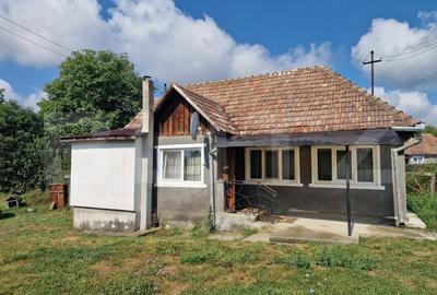 Casă individuală cu 2 camere cu Canalizare în Iclod