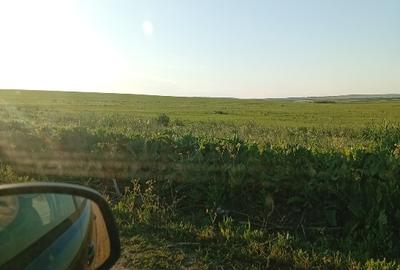 Teren agricol extravilan de 10000 mp, în Zărnești - 1