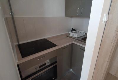 Apartament cu 2 camere decomandat în Steaua
