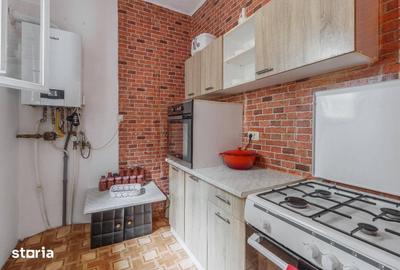 Casă cu 7 camere cu Teren 1230 Mp în Borș - 3