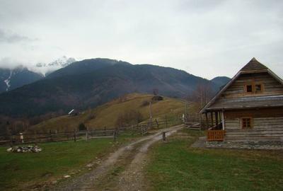 Teren Construcții intravilan de 21000 mp, în Măgura - 4