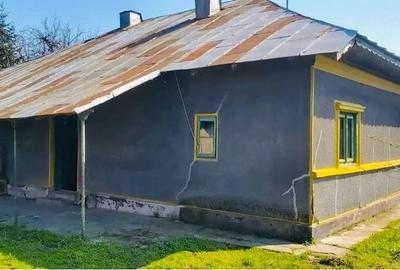 Teren de 7700 mp, în Letca Veche