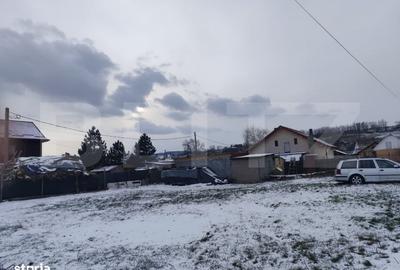 Spațiu comercial, în Dumbrava