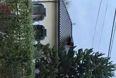 Casă în Mușcel - 9