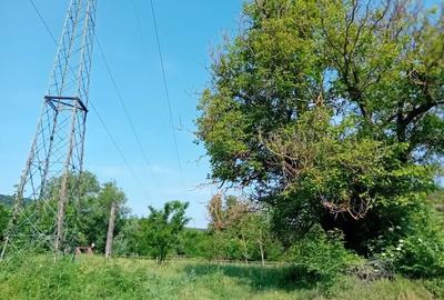 Teren de 4000 mp, în Băbana