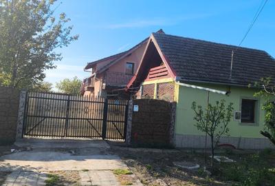 Casă individuală cu 7 camere cu Canalizare în Cenad