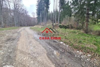 Teren de 20500 mp, în Valea Doftanei