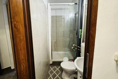 Apartament cu 2 camere semidecomandat în Șagului