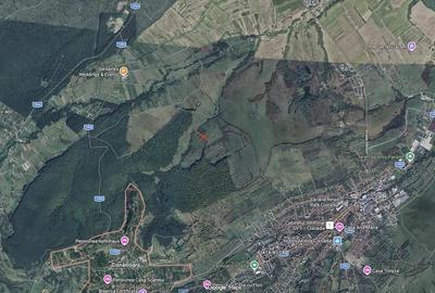 Teren de 21000 mp, în Central
