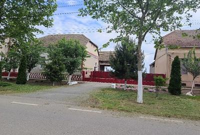 Casă cu Teren 2877 Mp în Tomnatic - 3
