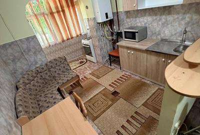 Apartament cu 2 camere decomandat în Lehnești - 1