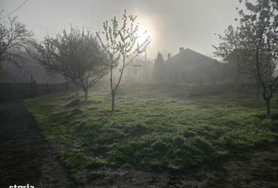 Casă cu 4 camere în Argeșani - 4
