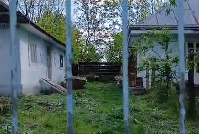 Casă cu 3 camere cu Teren 1550 Mp în Miorcani