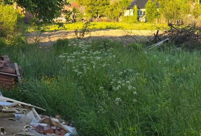 Casă cu 2 camere cu Teren 30000 Mp în Valea Leșului