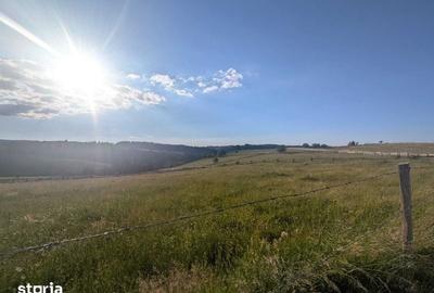 Teren de 3300 mp, în Măguri - 6