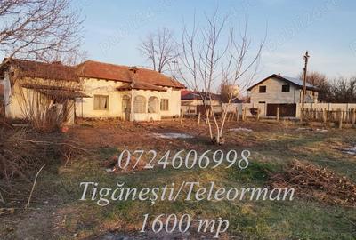 Teren de 1600 mp, în Țigănești
