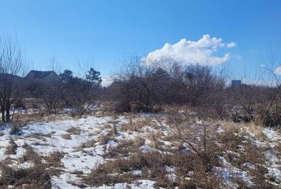 Teren Construcții intravilan de 5831 mp, în Nord - 6