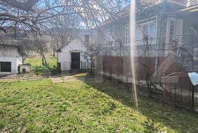 Casă cu 2 camere cu Teren 2500 Mp în Central - 10