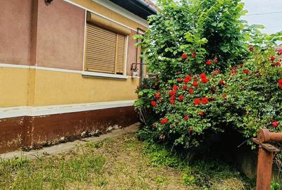 Casă cu 4 camere cu Teren 684 Mp în Săsciori - 5