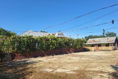 Casă cu 5 camere cu Teren 2724 Mp în Recea