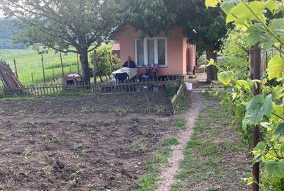 Teren de 2000 mp, în Dezmir - 12