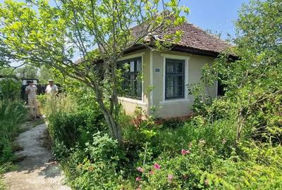 Casă cu 3 camere cu Teren 1853 Mp în Devesel - 2