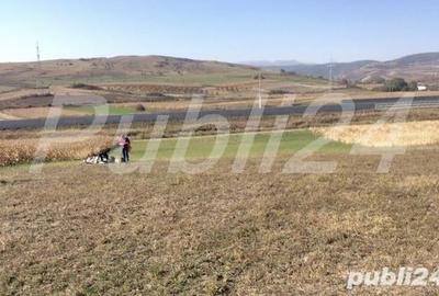Teren de 5500 mp, în Stejeriș - 3