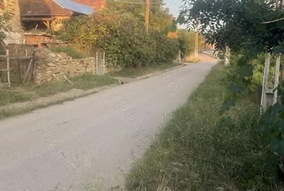 Casă cu 2 camere în Ormeniș - 13