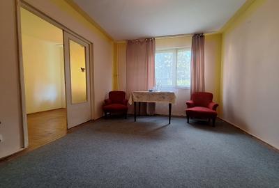 Apartament cu 2 camere nedecomandat, mobilat în Șagului