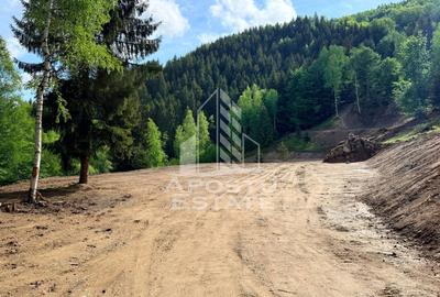 Teren Construcții extravilan de 18000 mp, în Exterior Sud - 29