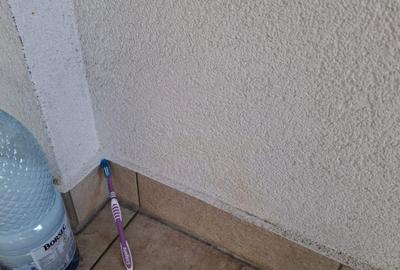 Apartament nedecomandat în Astra