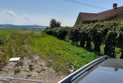 Teren de 3000 mp, în Lilieci - 3