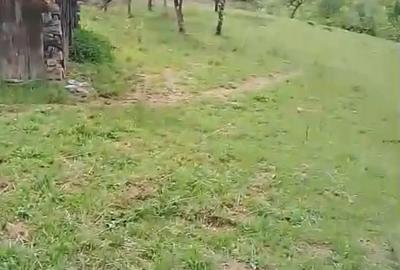 Teren în Sadu - 1