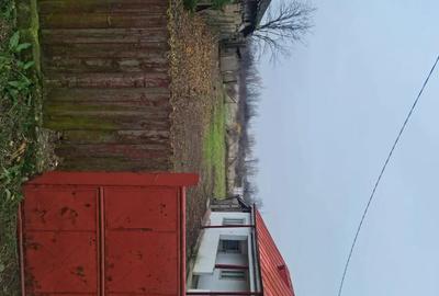 Casă în Garoafa - 4