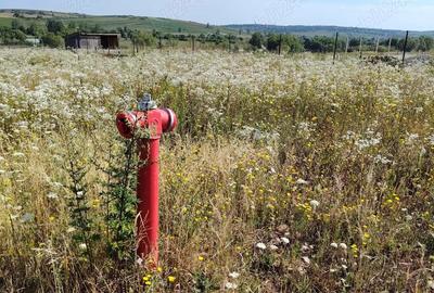 Teren de 1000 mp, în Paleu