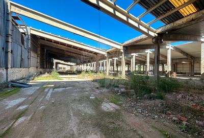 Spațiu industrial, de 10,000 mp, în Bucov