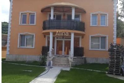 Casă cu Teren 730 Mp în Pietroasa - 10