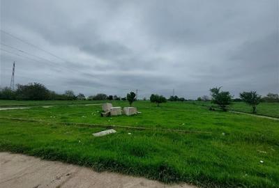 Teren agricol intravilan de 80000 mp, în Grădiște - 3