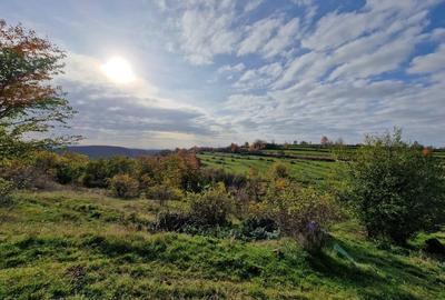 Teren de 18527 mp, în Cerbăl - 1