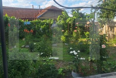 Casă cu 4 camere cu Teren 2500 Mp în Central