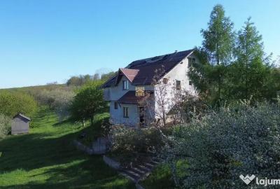 Teren de 4863 mp, în Adâncata - 14
