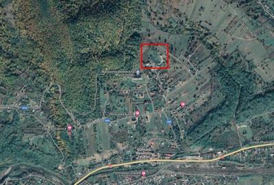 Teren de 1586 mp, în Viișoara