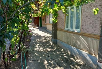 Casă individuală cu 3 camere cu Teren 766 Mp în Sălciile