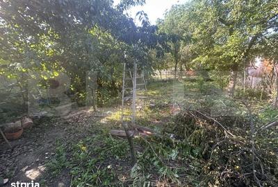 Casă cu 5 camere cu Teren 770 Mp în Ghirodei - 2